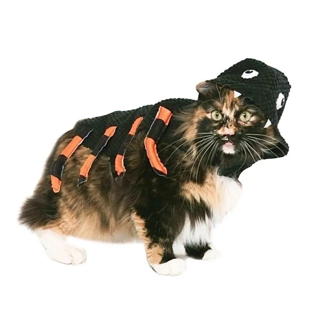 PET SPIDER COSTUME NWT
